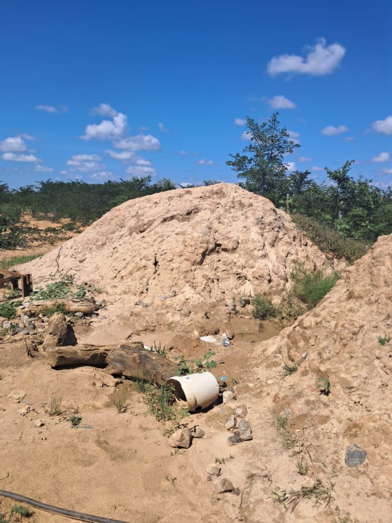 Metallurgical recovery assessment report