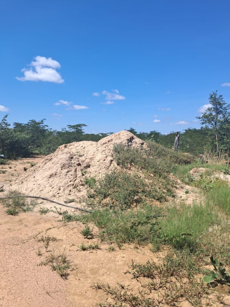 Gold tailings recovery opportunity study