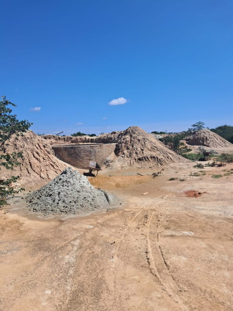 Gold tailings recovery assessment report