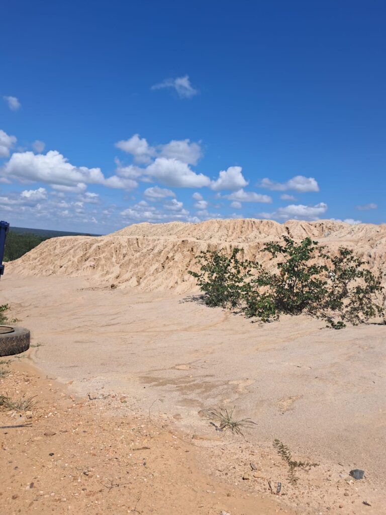Historical tailings reprocessing study