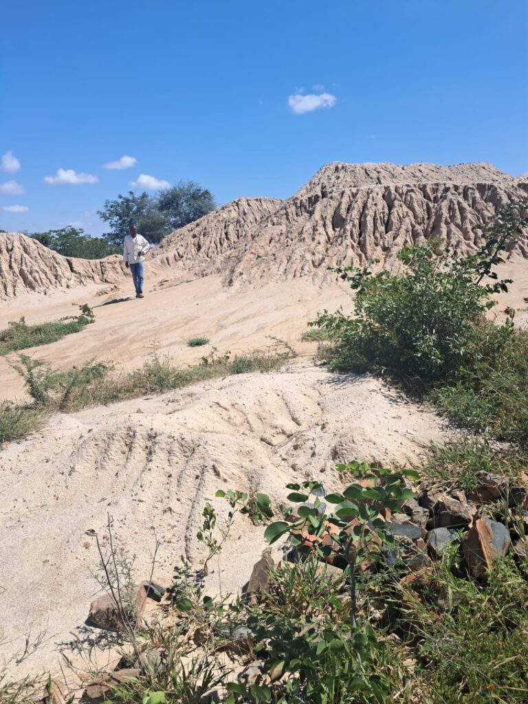 Gold tailings resource assessment report