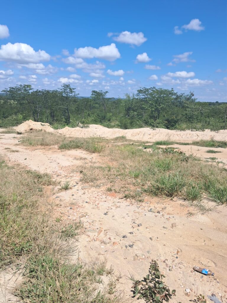 Comprehensive tailings recovery study