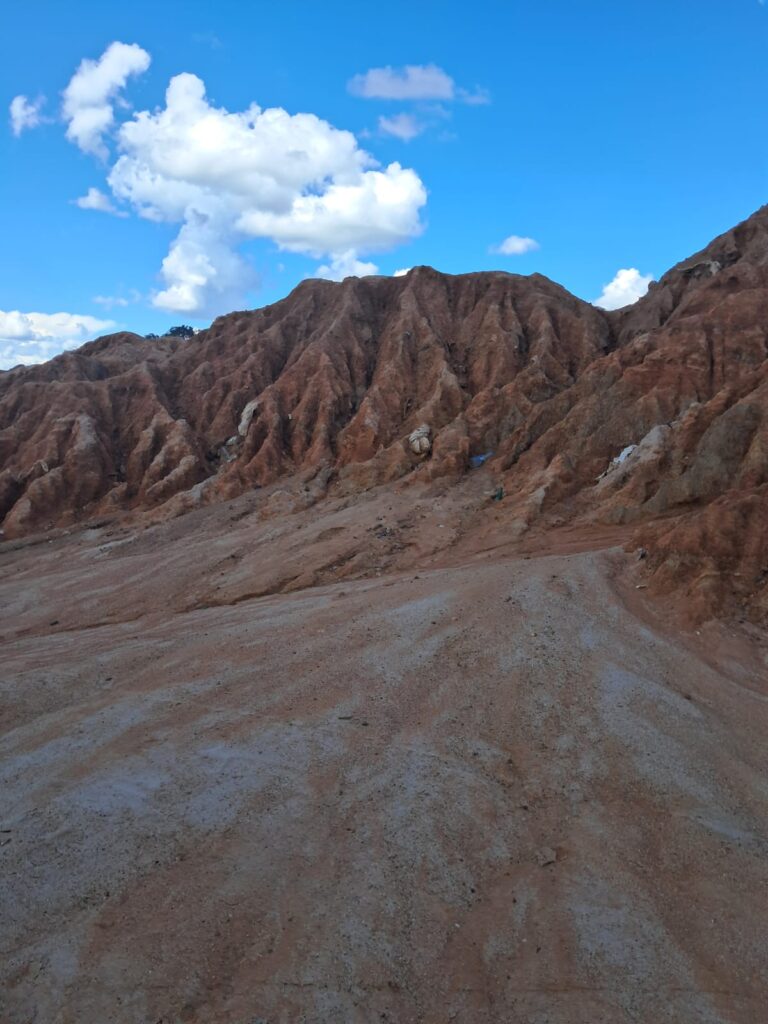 Strategic mineral recovery assessment