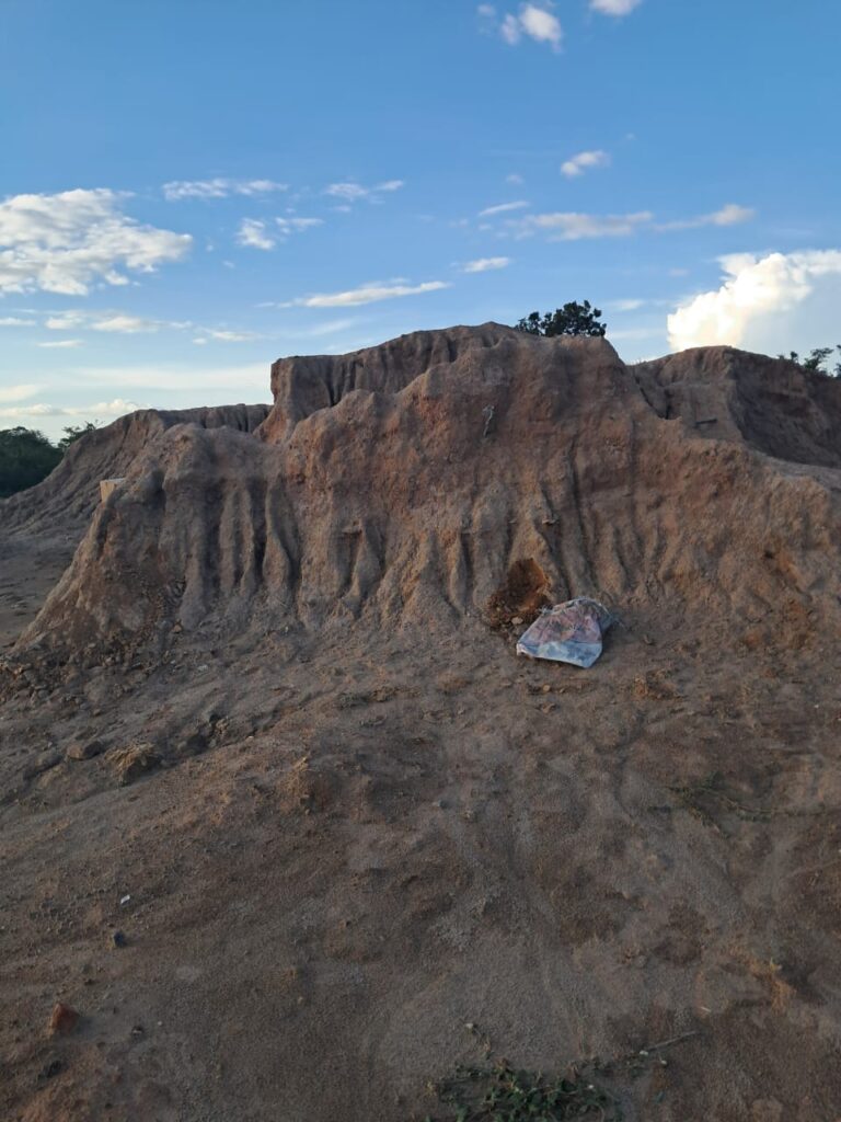 Tailings processing opportunity report