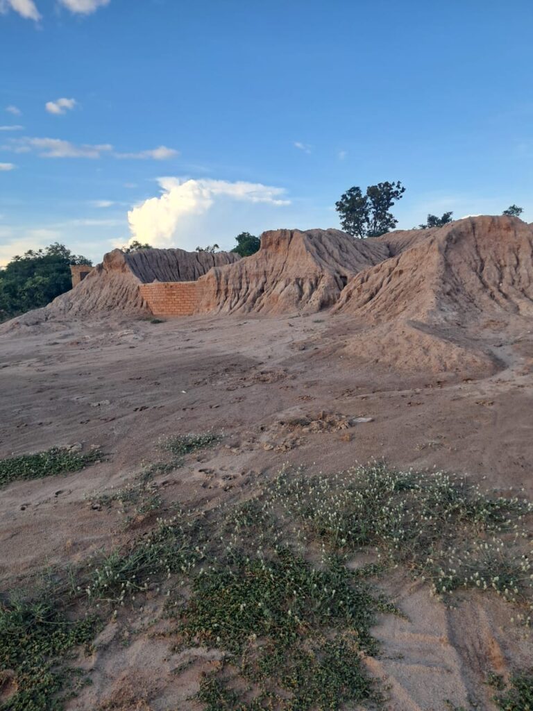 Technical tailings recovery report