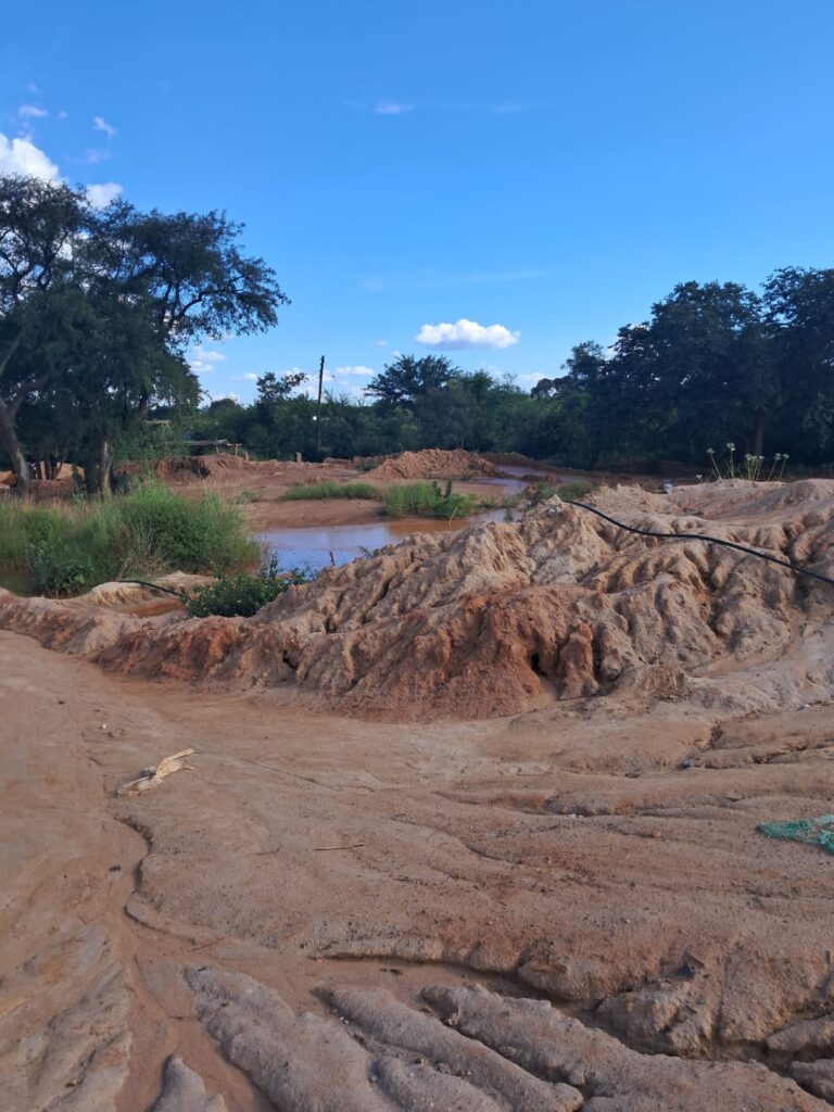 Tailings characterization report