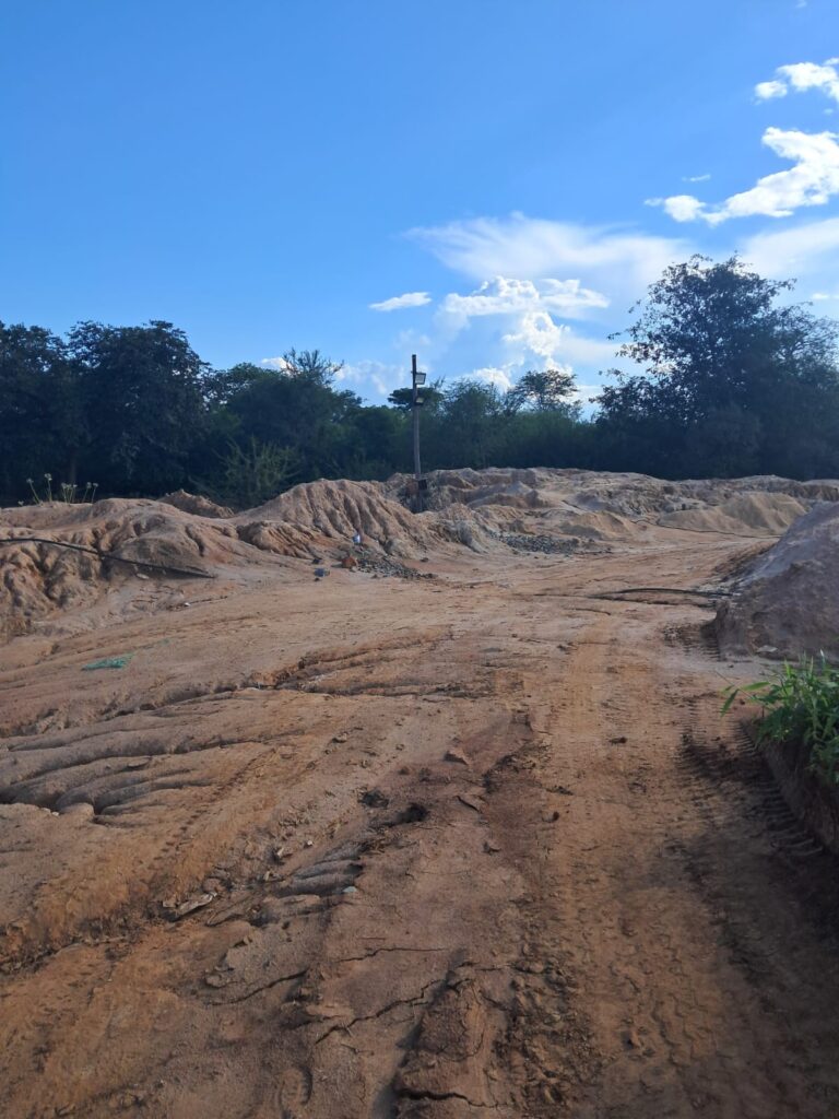 Tailings sampling and assay report