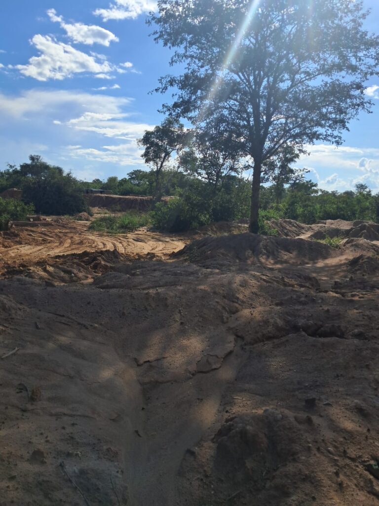 Strategic tailings recovery report