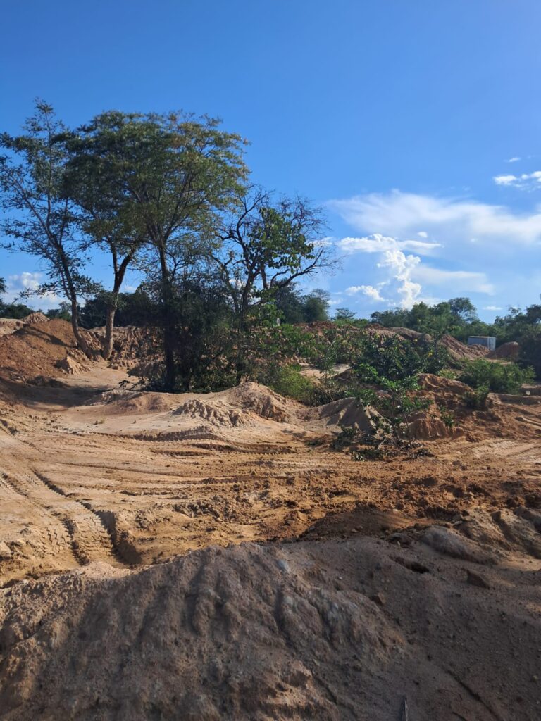 Tailings resource development study