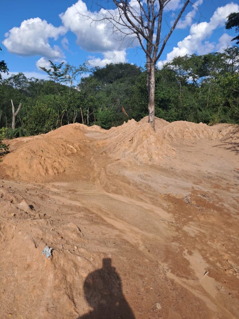 Tailings processing feasibility assessment