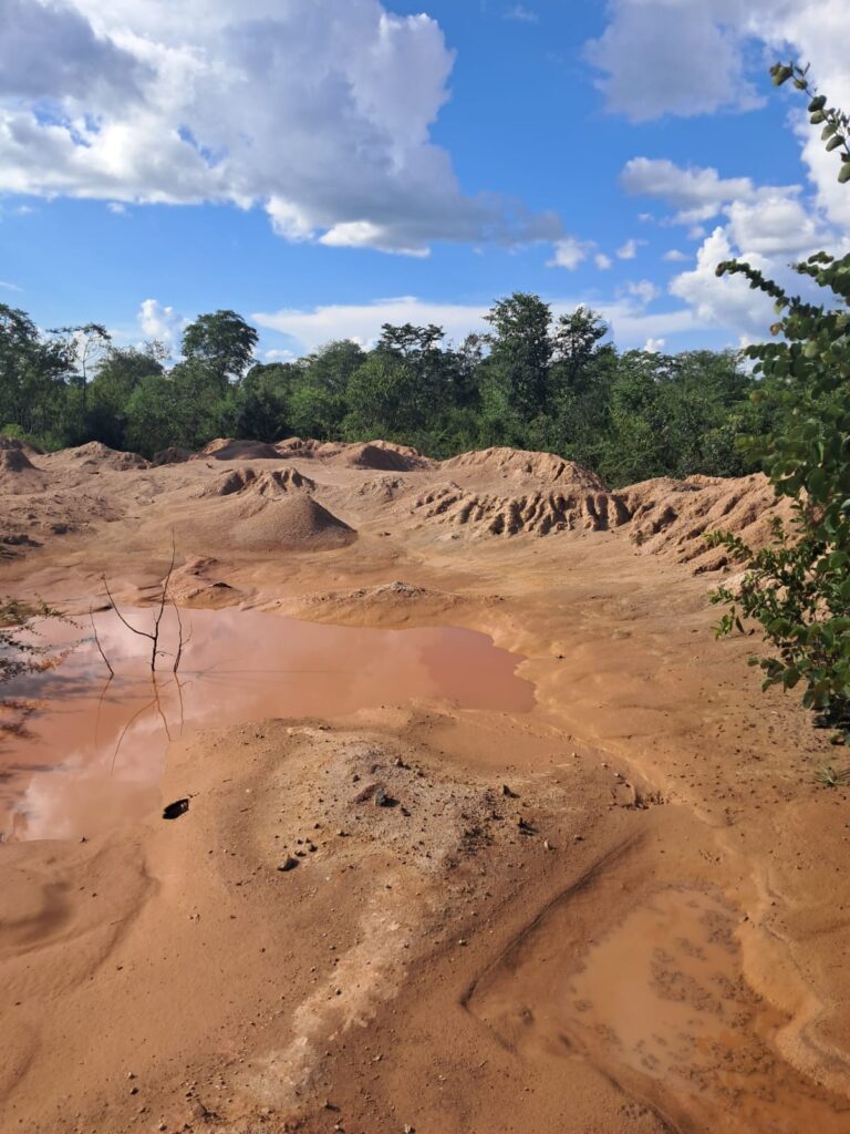 Mineralized tailings evaluation report